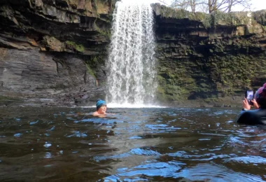 Bluetits Welsh Waterfalls Weekend 2025