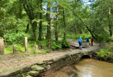 Camino De Santiago Adventure: The Portuguese Way